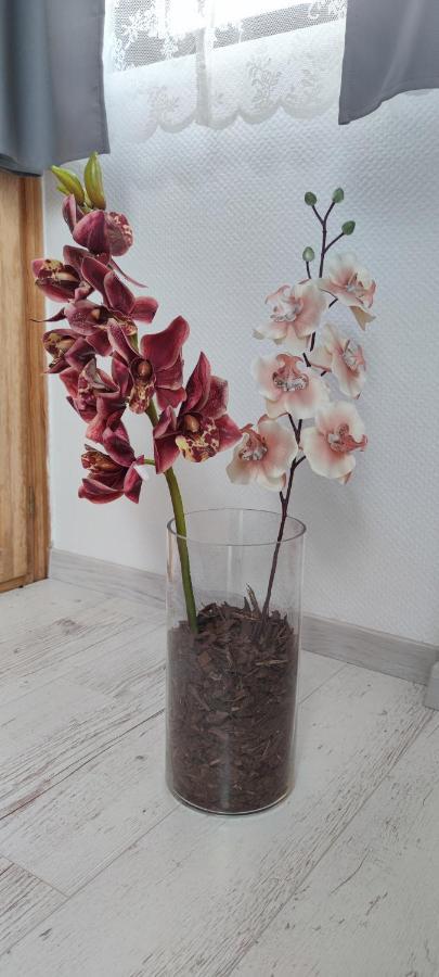 Natura Panzio Szilvasvarad Luaran gambar